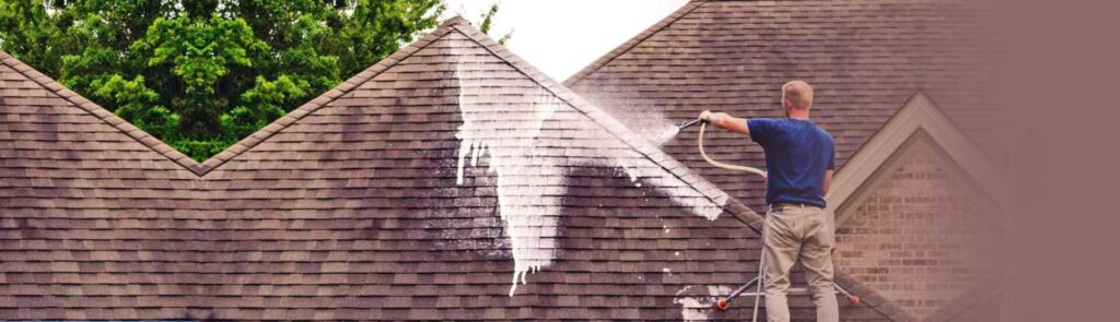 Roof-Cleaning-Banner
