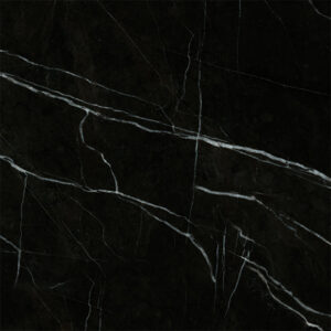 Absolute Black G20870