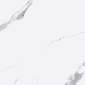 Calacatta Vera White 6N0051