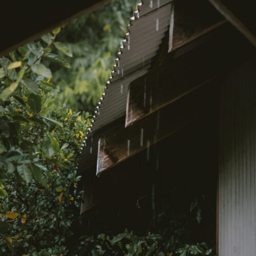 jake-charles-BjI8mlsBsVk-unsplash-2-scaled